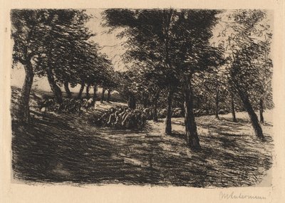 Kudde Schapen Onder Bomen, 1891 door Max Liebermann