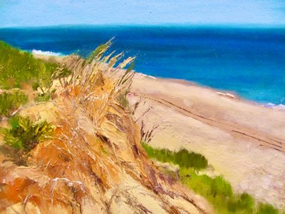 Rustig uitzicht op de kust door Maxine Shore