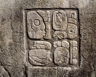 Glyphs in huis C, patio 2 in het paleis door Mayan