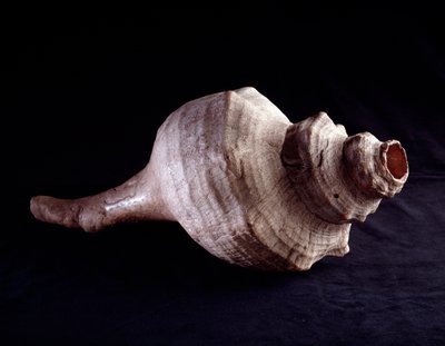 Precolumbiaanse kunst, Maya beschaving, klassieke periode: zeeschelp gebruikt als muziekinstrument (trompet). Uit Uaxactun, Guatemala. door Mayan Mayan