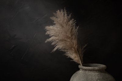 Donkere rustieke pampa door Mayra Pama