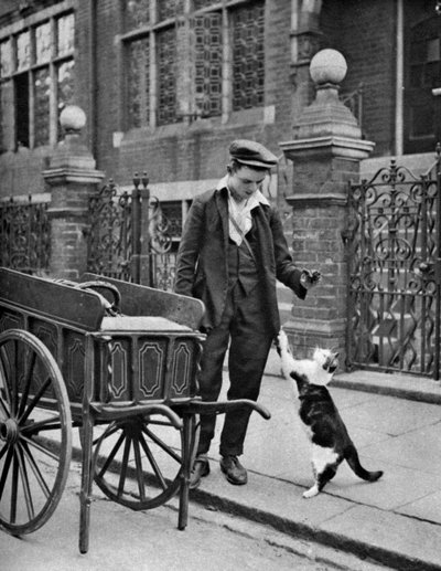 Kattenvleesman, Londen, 1926-1927 door McLeish