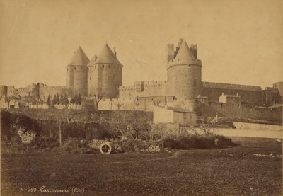 Carcassonne door Mederic Mieusement