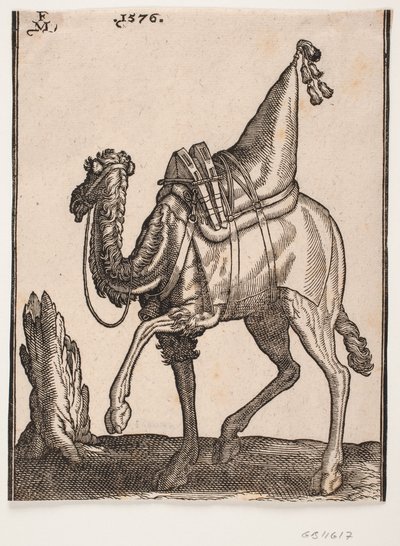 Een opgezadelde dromedaris, profiel naar links, met de kop van het dier afgewend van de kijker door Melchior Lorck