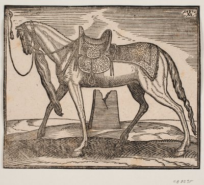 Elegante opgezadelde paard, vastgebonden aan de linker kaderlijn, profiel naar links; onder de buik van het paard is een ruïne te zien door Melchior Lorck