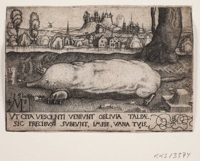 De mol door Melchior Lorck