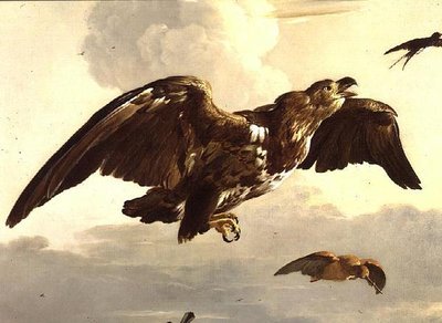 Een adelaar en een zwaluw in vlucht door Melchior de Hondecoeter
