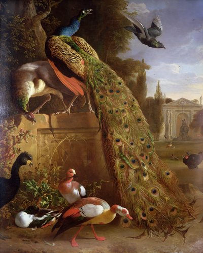 Pauw en een Pauwhen op een Sokkel, met Eenden en Andere Vogels in een Park door Melchior de Hondecoeter