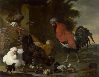 Een haan, kippen en kuikens door Melchior de Hondecoeter