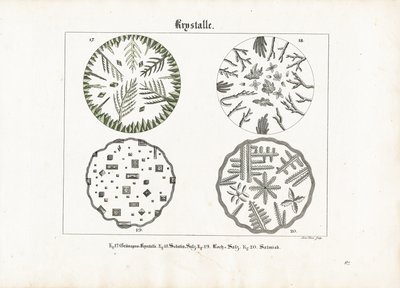 Kristalvormen van verschillende zouten door Meno Haas
