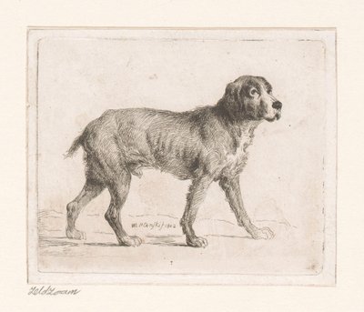 Hond door Michał Płoński