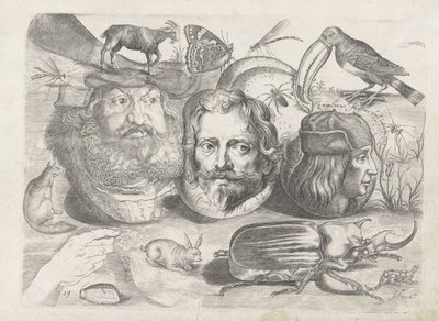 Studieblad met tekenvoorbeelden: portretten, dieren, insecten door Michael Snijders