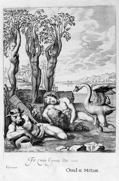 Cygnus veranderd in een zwaan en Phaetons zusters in populieren, 1655 door Michel de Marolles