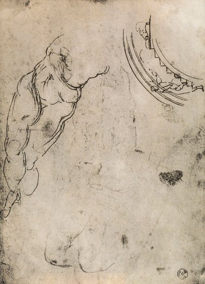 Mannelijke benen door Michelangelo Buonarroti