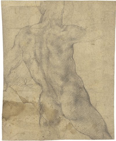 Mannelijk naakt door Michelangelo Buonarroti