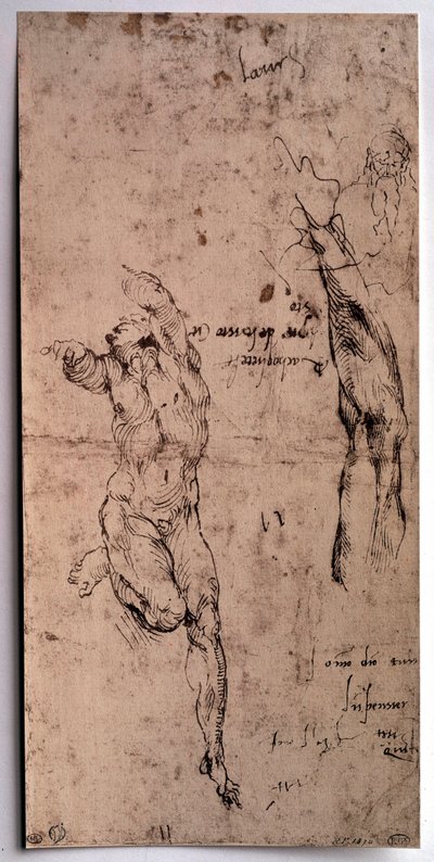 Naakte man, armstudie Tekening door Michelangelo Buonarroti door Michelangelo Buonarroti