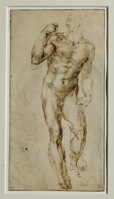 Mannelijk naakt, vooraanzicht, circa 1502-1506 ... door Michelangelo Buonarroti
