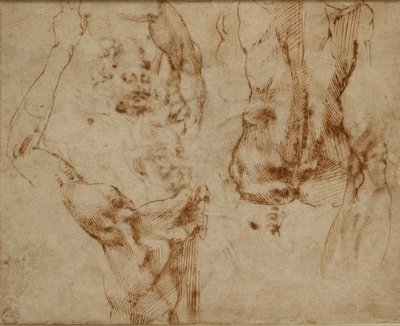 Naaktstudies, ca. 1490-1560 door Michelangelo Buonarroti