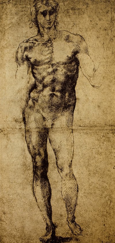 Studie voor een mannelijk naakt, Louvre Museum, Parijs door Michelangelo Buonarroti