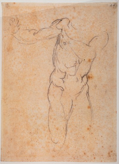 Studie voor de Adam van de 