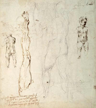 Studie van het Christuskind en een anatomische tekening met aantekeningen (zwarte krijt en bruine inkt op papier) (verso) door Michelangelo Buonarroti
