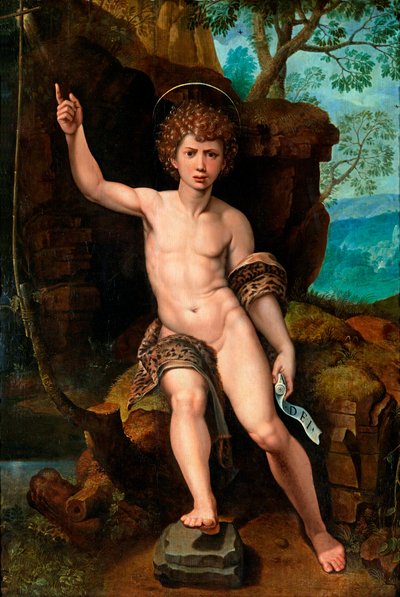 De heilige Johannes de Doper door Michiel I Coxie or Coxcie