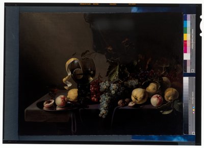 Stilleven met fruit en druiven door Michiel Simons