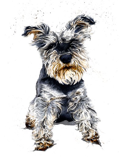 Ollie De Schnauzer op Wit door Mike Davis
