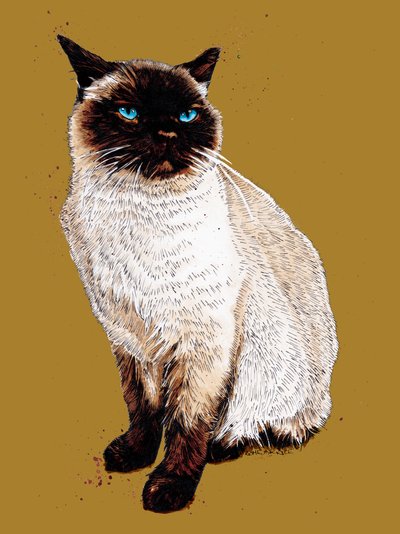 De Siamese Kat op Goudgeel, 2020 door Mike Davis