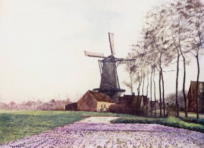 De belofte van de lente door Mima Nixon
