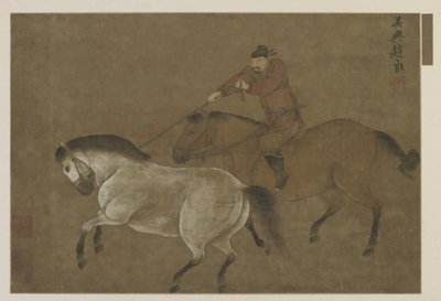 Een ruiter die een paard lasso