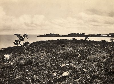 Het bouwen van een rijk in het fascistische tijdperk: Meer Tana. Ethiopië, 09/05/1936 door Modestino Baldinetti