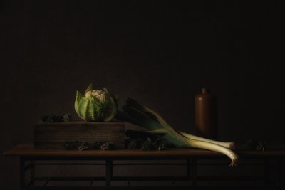  door Monique van Velzen