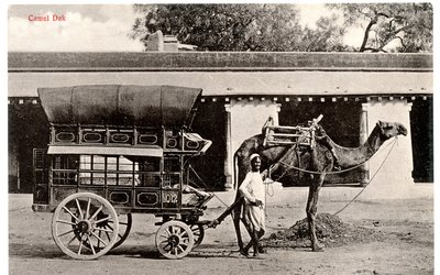 Kameel Dak, ca. 1911-12 (sepia foto) door Moorli Dhur and Sons