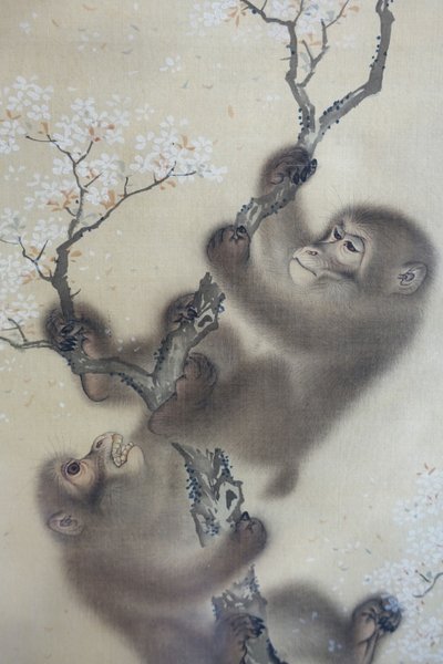 Apen in een bloeiende kersenboom, 1 van 2, Mori Sosen, Japan, Edo-periode, begin 1800, inkt en kleur op zijde - Arthur M. Sackler Museum, Harvard University - DSC01127 door Mori Sosen