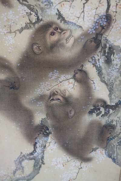Apen in een bloeiende kersenboom, 2 van 2, Mori Sosen, Japan, Edo-periode, begin 1800, inkt en kleur op zijde - Arthur M. Sackler Museum, Harvard University - DSC01128 door Mori Sosen