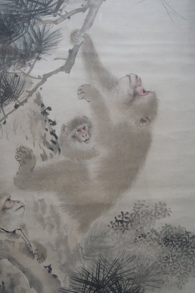 Mori Sosen, apen in de dennen voor een waterval door Mori Sosen