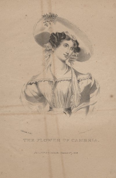 De bloem van Cambria, litho door C.G. Childs door Moses Swett