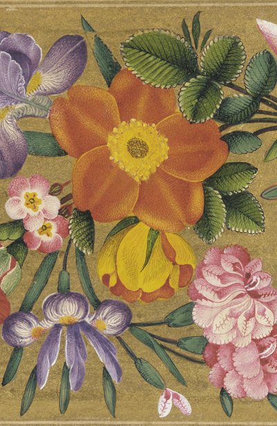 Pagina uit het St. Petersburg Album, India, 1727 (kleur op goudgrond) door Muhammad Sadiq