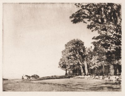 Hampstead Heide door Muirhead Bone
