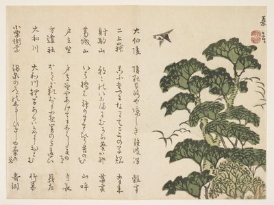 Grote boom en vogels, ca. 1830-44 door Murata Kagen