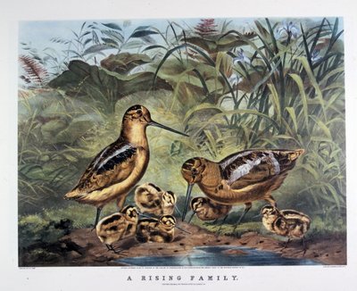 Een Familie Ontwaakt door N. and Ives J.M. (1824 95) Currier