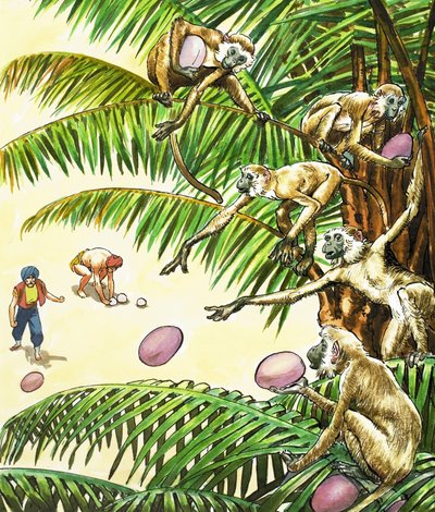 Sinbad de zeeman door Nadir Quinto