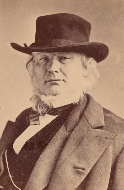 Portret van Horace Greeley 1811-1872, 1869 door Napoleon Sarony