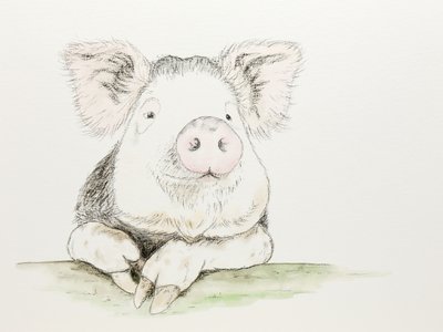 Schattig varkentje in aquarel door Natalie Bruns