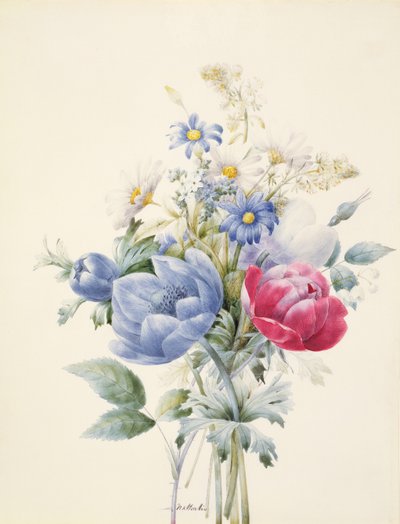 Een Roos, Anemoon, Reseda en Madeliefjes door Nathalie d