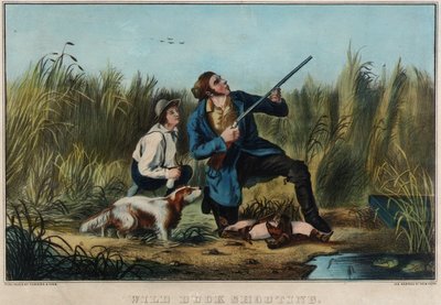Wilde eenden schieten door Nathaniel Currier