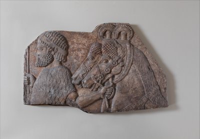 Buitenlandse bruidegom in een tributair proces, ca. 721-05 v.Chr. door Neo Assyrian Neo Assyrian