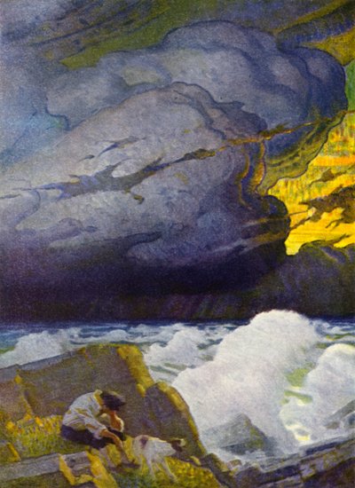 Illustratie voor Robinson Crusoe door Newell Convers (after) Wyeth