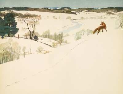Vos in de sneeuw, schutblad in 